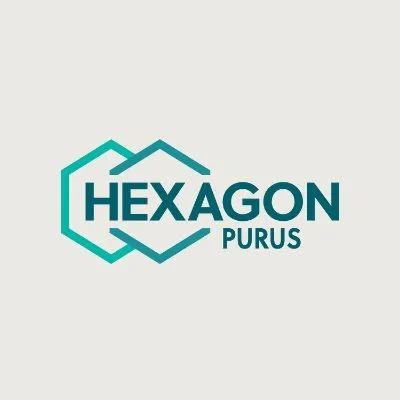 hexagonpurus.com's icon