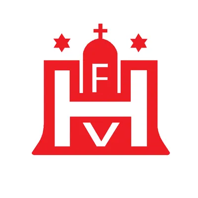 hfv.de's icon