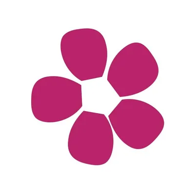 hgw-it.ch's icon