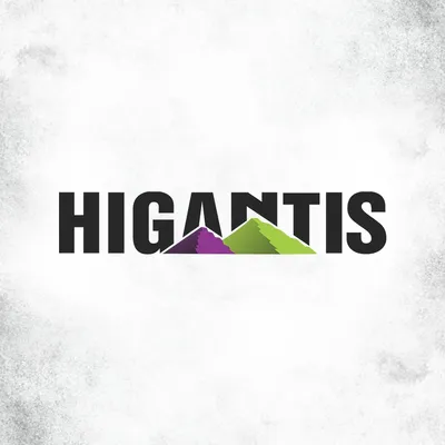 higantis.com's icon