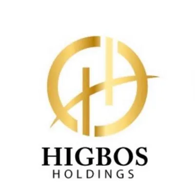 higbosholdings.com's icon