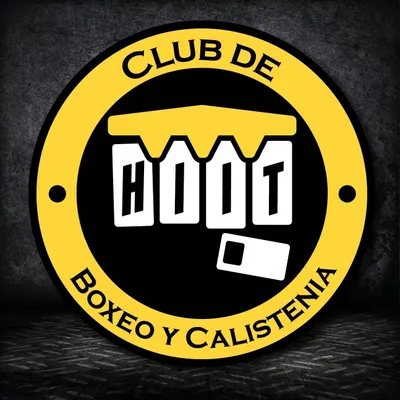 hiitboxingclub.com's icon