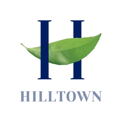 hilltownkucukyali.com's icon