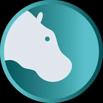 hippowallet.io's icon
