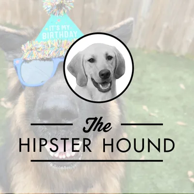 hipsterhound.net's icon