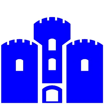 hisarliplatform.com's icon
