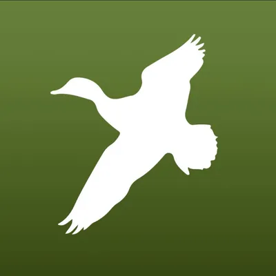 hlrbo.com's icon