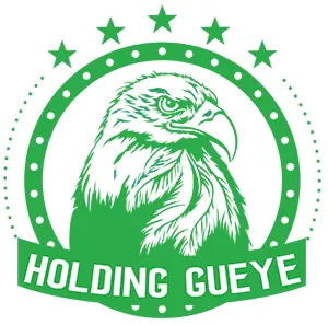 holdinggueye.com's icon