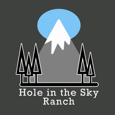 holeintheskyranch.com's icon
