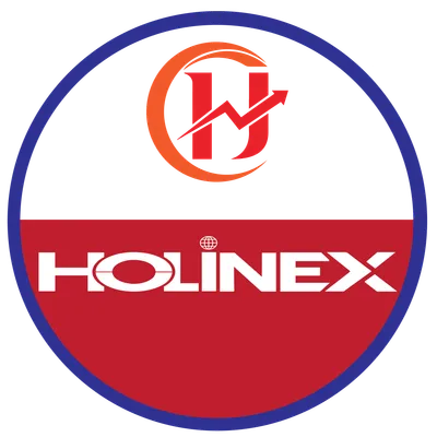 holinex.com's icon