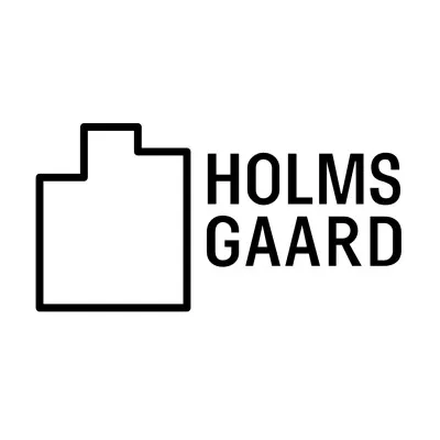 holmsgaard.com's icon