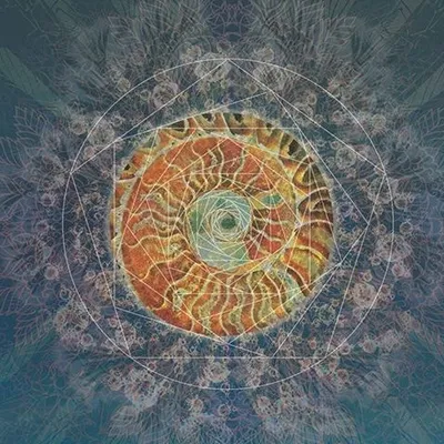 holotropic.com's icon