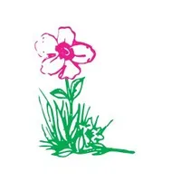 Homeland Florists Discount Codes