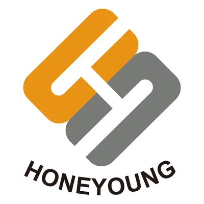 honeyoung.com.cn's icon