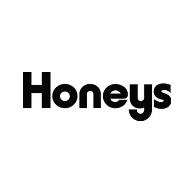 honeys-saiyou.net's icon