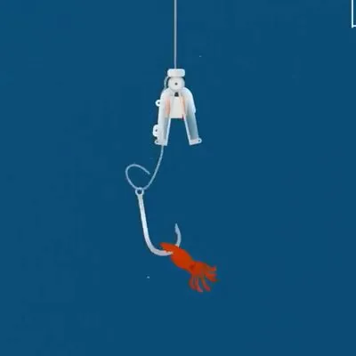 hookpod.com's icon