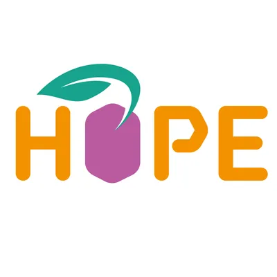 hope.com.pe's icon