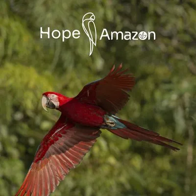 hopeamazon.com's icon