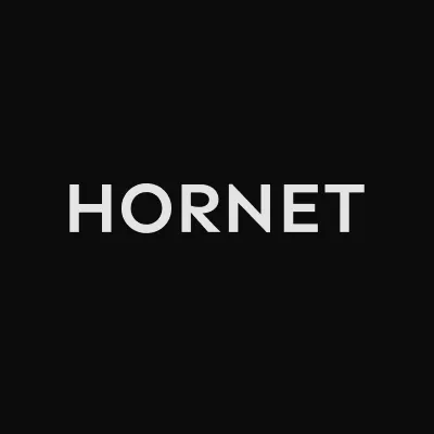 hornet.dev's icon