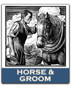 Horse Groom