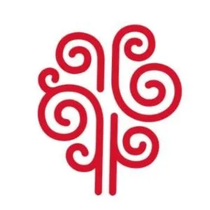 hospitalcovadonga.com's icon
