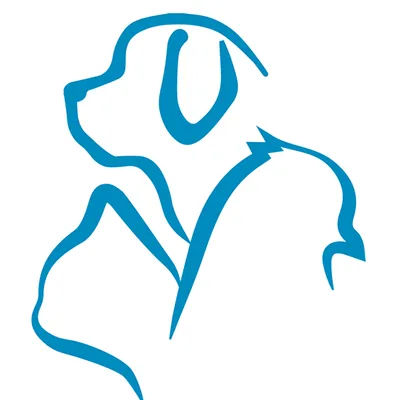 hospvetcoimbra.com's icon