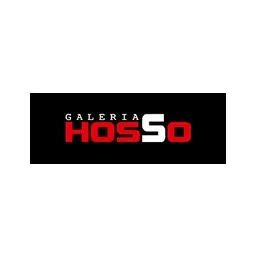Hosso Holding H2 sp. z o.o.