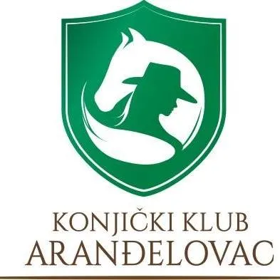 hostelbranch.com's icon