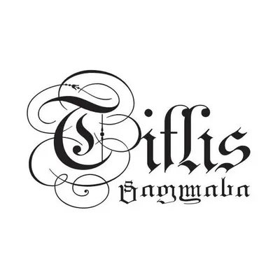 hotel-tiflis.com's icon