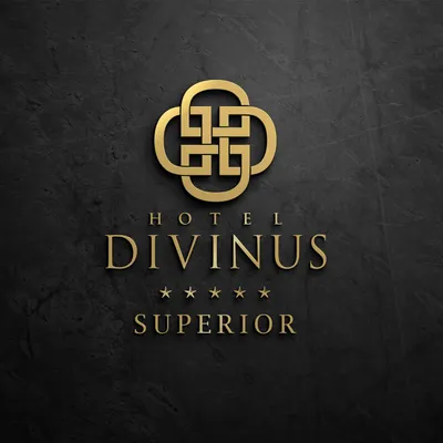 hoteldivinus.hu's icon