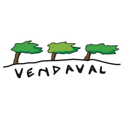 hotelvendaval.com's icon