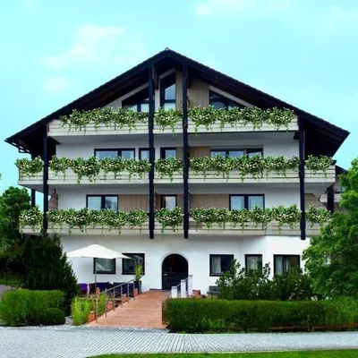hotelzumsee.de's icon
