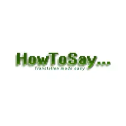 HowToSay's icon
