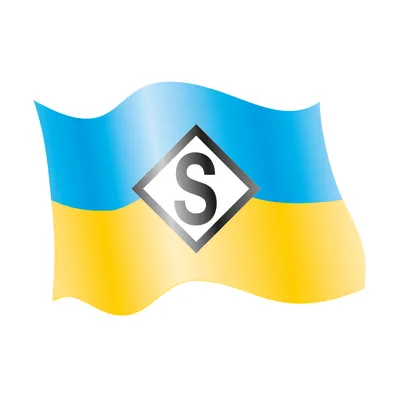 hs-schiffahrt.com's icon