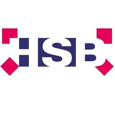 hsb-volendam.nl's icon