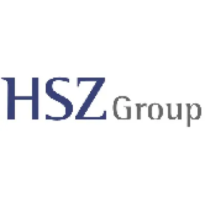 hszgroup.com's icon