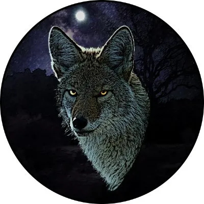 hudsonsances.com's icon