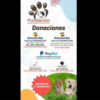 huellitasperrunas.org's icon