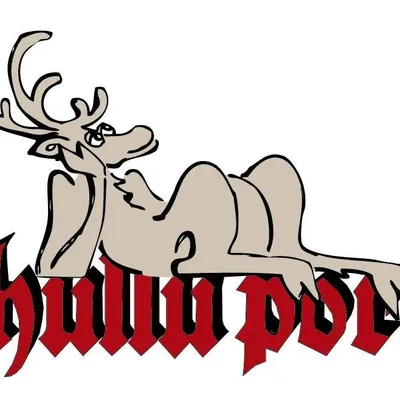 hulluporo.fi's icon
