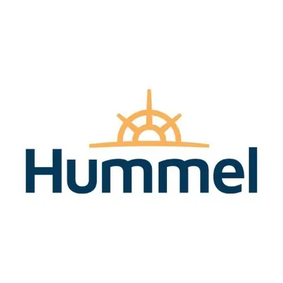 hummelgrp.com's icon