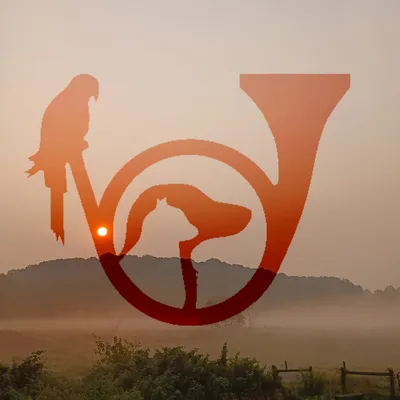 huntvalleyrehab.com's icon