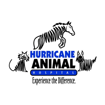 hurricaneanimalcare.com's icon