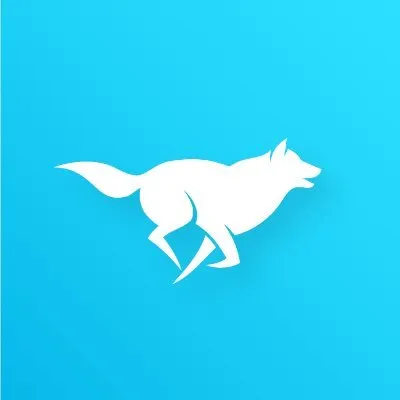 huskypool.com's icon