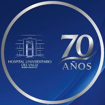 huv.gov.co's icon