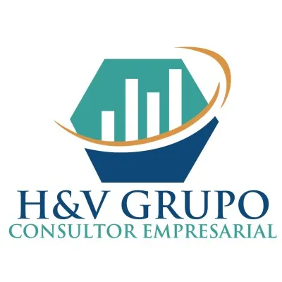 hvgrupoconsultor.com.pe's icon