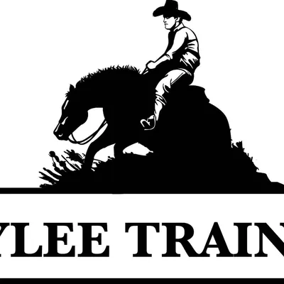 hyleetraining.com's icon