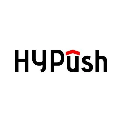 hypush.co's icon