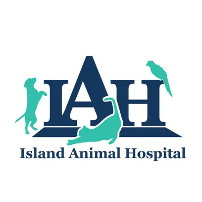 iahvets.com's icon