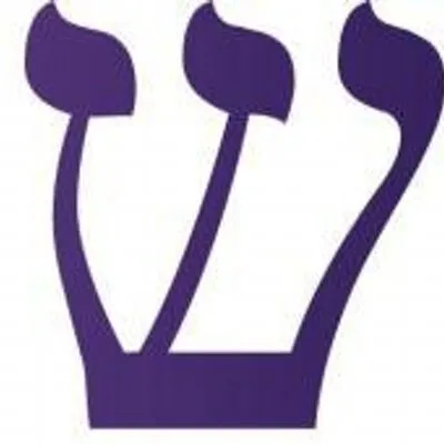 ibi.ie's icon