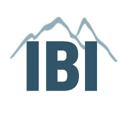 ibiaviation.com's icon
